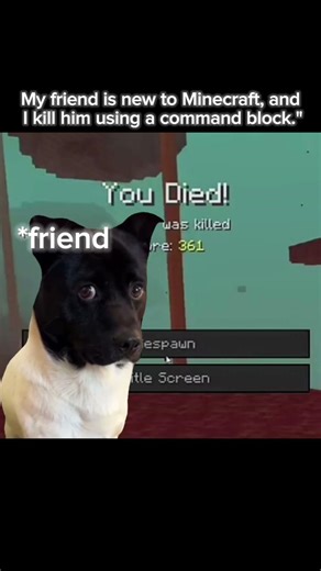 "My friend is new to Minecraft, and I killed him using a command block."
