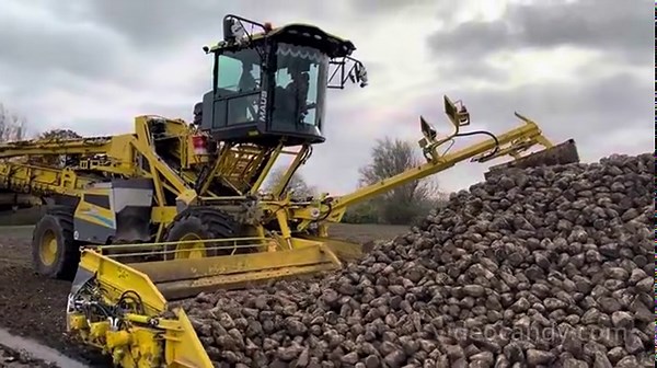 Betfrakt Expands Fleet with ROPA Maus 6 Loaders