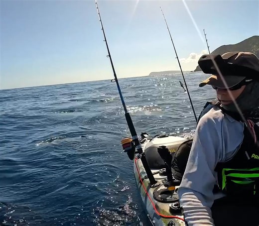 130K views · 607 reactions | How would you react in this situation?  #GoProAwards recipient Matt Wells kept his cool during this intense encounter off the coast of New Zealand  GoPro.com/Awards #FunFact: New Zealand’s waters are home to some of the largest great white sharks in the world. These apex predators often migrate between NZ + the tropics to the north, sometimes traveling nearly 10,000kms 麗 | GoPro | Facebook