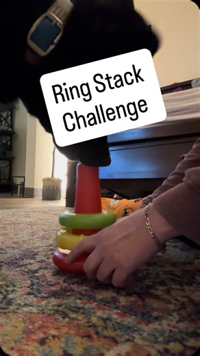 Fozzy loves little enrichment tasks at home, and he loves to stack the rainbow rings on a baby toy. It mixes retrieval, targeting, and problem solving, and he has a blast doing it. This is just a fun way to keep his brain busy and channel his work drive into play. He even finishes with a nose fist bump. 👊 #servicedogtraining #dogenrichment #smartdog #workingdoglife #clickertraining #dogsofinstagram #ringstacking #babytoy [VD: On screen text at the beginning reads “Guide dog vs Rainbow rings”. V