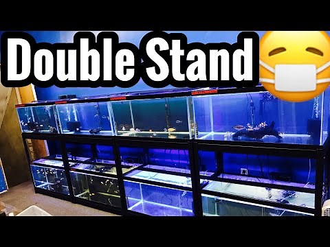 40 gallon Breeder Aquarium Racking Double Stand