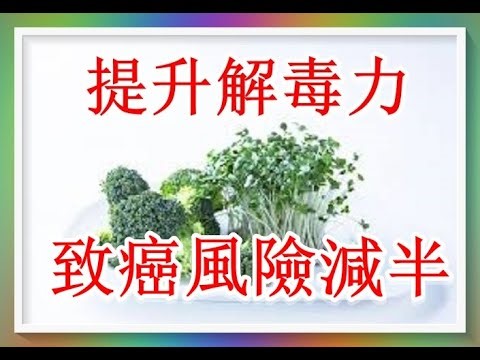 每週25克綠花椰菜苗，可提升解毒力，使致癌風險減半！（有字 幕）