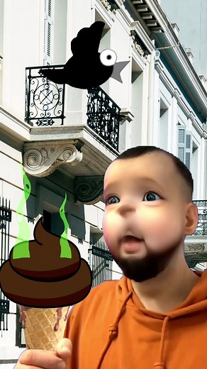 Tom Singing Dog Poop Mishap - Hilarious Mix-Up Explained