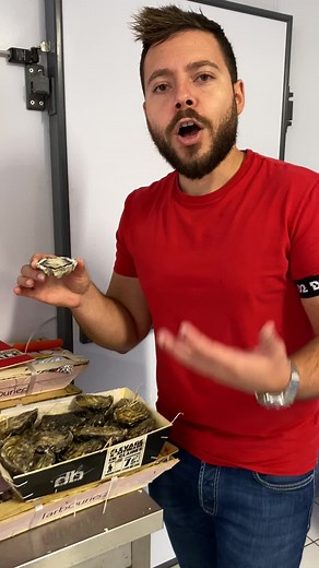 Exploring DB Luxe Oysters: A Culinary Experience