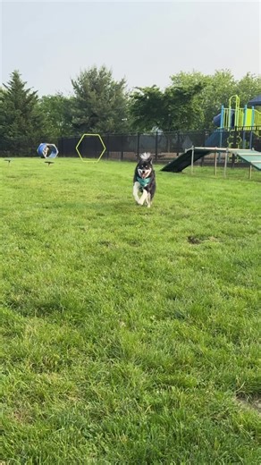 Welcome to the circus