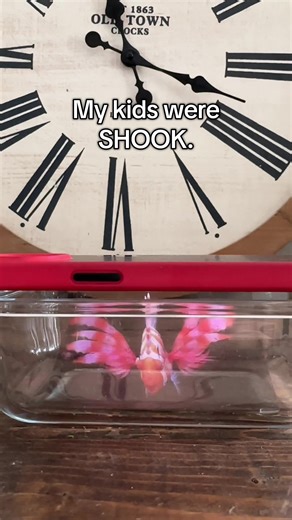 Ready to blow your kids’ minds? ✨ This easy hologram trick took me TWO minutes to make and had my kids absolutely shook. No fancy supplies, no prep, no mess… just instant magic using things you already have at home. If you’re looking for simple, screen-free activities that still feel exciting, this is such a fun one to add to your mom toolbox. Perfect for homeschool breaks, boredom days, rainy afternoons, or just creating one of those “whoa 😲” moments. Save this so you have it the next time bor