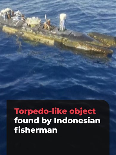 A fisherman in Indonesia discovered a torpedo-like object near the Lombok Strait, a waterway between Bali and Lombok. . The object, now in Indonesian navy custody, is 3.7 metres long and 65 centimetres wide.