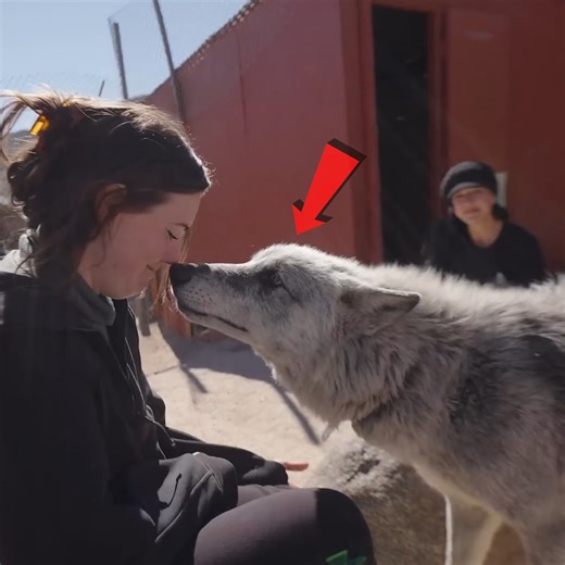 Would You Do This?? 🤔 | Yes Theory