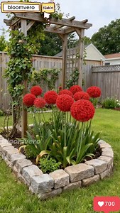 From a tiny seed to a magnificent globe of blooms — the Giant Allium transforms your garden into a modern art gallery. Bold, architectural, and endlessly elegant. ✨ #GardenGoals #AlliumMagic #ModernGarden | Bloomvero | Facebook