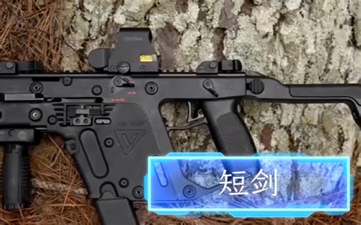 【武器科普】“vector”射速到底有多猛！！