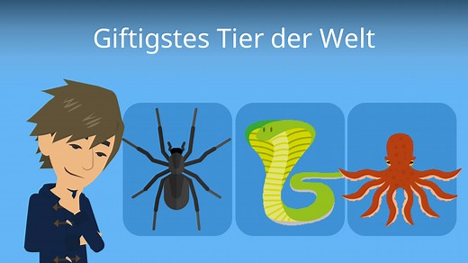 Giftigstes Tier der Welt • Die 10 giftigsten Tiere der Welt