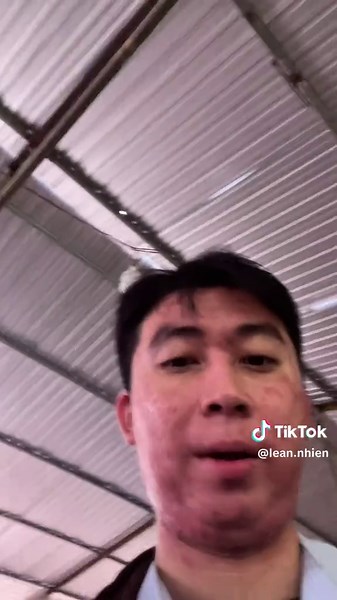 An Nhiên đi làm giấy chăn nuôi động vật quý hiếm (Chồn Hương) #leannhien #mun #leannhienvlog