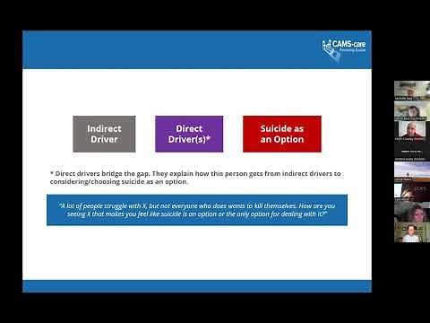 Collaborative Assessment and Management of Suicidality (CAMS)