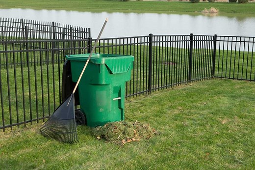 Safe Weed Control Solutions for Lawns Near Lakes