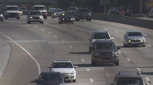 This Bay Area highway is the deadliest for roadkill in California