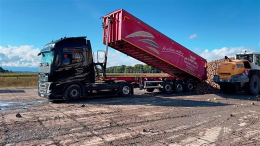 利勃海尔L556轮式装载机工作