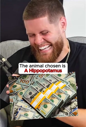 Understanding Hippopotamus Behavior and Fun Facts