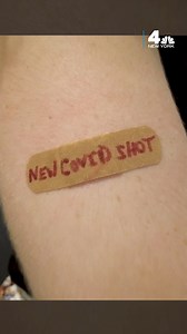 A panel of CDC advisers voted Tuesday to recommend updated Pfizer and Moderna coronavirus booster shots for everyone ages 6 months and up. Here's what to know. #covid #booster #variant #shot #omicron #pirola | NBC New York