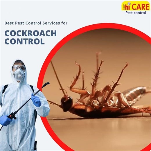 Easy HiCare Pest Control Services CALL US - 90323 18994 #PestControlHyderabad#HyderabadPestControl