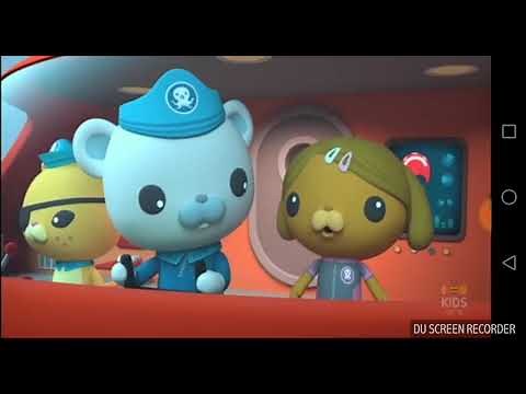 octonauts and the surfing snails