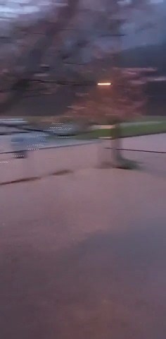 30K views · 156 reactions | Little Creek overflowed, flooding surrounding area in South Charleston on Friday as a result of heavy rains Thursday evening. https://wchstv.com/news/local/flood-warning-in-effect-for-parts-of-region-after-flash-flooding-thursday-evening# *Video courtesy of Erika Hernandez* | WCHS Eyewitness News | Facebook