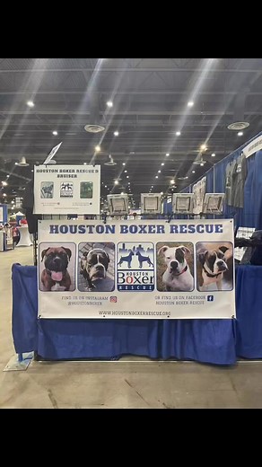 1.6K views · 46 reactions | Come out and see us at Houston World Series of Dog Shows! We are booth 825! We have cool raffles, calendars, great shirts and games! #boxerlovers | Houston Boxer Rescue | Facebook