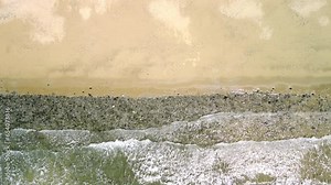 Waves lapping the shore in Tropical North Queensland Australia