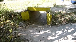 2K views · 76 reactions | World Rally RC 1/10 Championships on Reels | Facebook