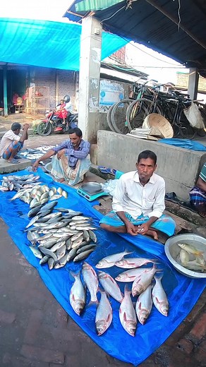 1.2M views · 10K reactions | Bangladeshi village fish market #market #fish #reels | Different city | Facebook