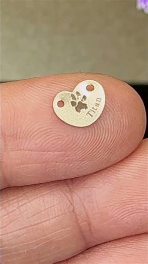 This Paw Print Became a Necklace 🐾💛