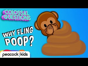Why Do Chimps Fling Poop? | COLOSSAL QUESTIONS #CampYouTube #WithMe