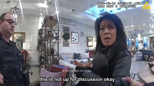 Elite Thief Steals Louis Vuitton Then Begs Cops Like Crazy #luxurytheft #louisvuitton #elite #jail #police #cops #Crime #Arrest #bodycam | Police Insider