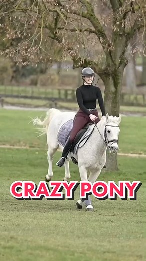 Wild Equestrian Mishaps: Crazy Pony Fails and Falls