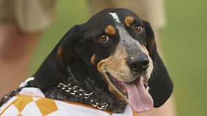 Happy 66th birthday, Smokey!!