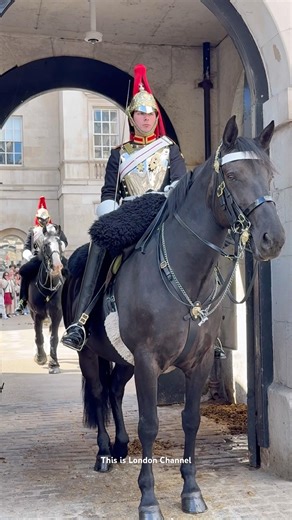 Changing the guards #london #horse #britishsoldier #respect #history