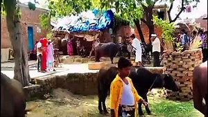 रामप्यारे की शूटिंग कैसे होती है_ देखें Ram Pyare Ki Shooting Kese Hoti H Full Video(240P)