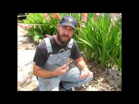 Weeding Fork Garden Tool