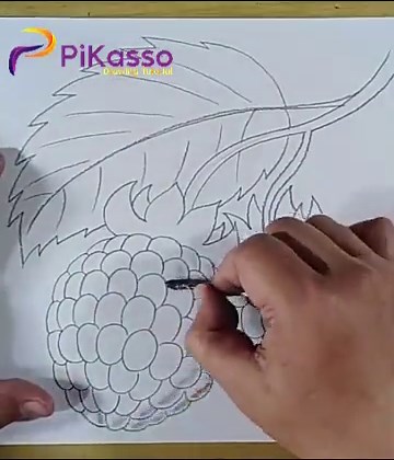 How to Shade a Raspberry Drawing Easy in Less Than One Minutes