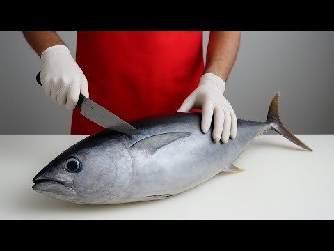 Tuna Filleting Made Easy – No Tools Needed! | Watch This Hack!