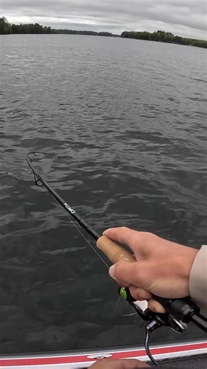 TANK smallie on the New OATH 6'9" ML Shaker Rod! This Rod is perfect for throwing around tiny minnows like the NEW CrushCity 2.5" Mooch minnow. Once you've got em hooked, they're not coming off! OATH and MYTH Shaker Rods will be available at retail 12/1🙌 #13fishing #makeyourownluck #OATH | 13 Fishing