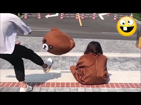 Funny Compilation From Troll Bears Can't Help Laughing #1