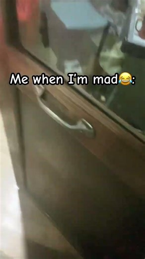Me when I’m mad 😂 #funny