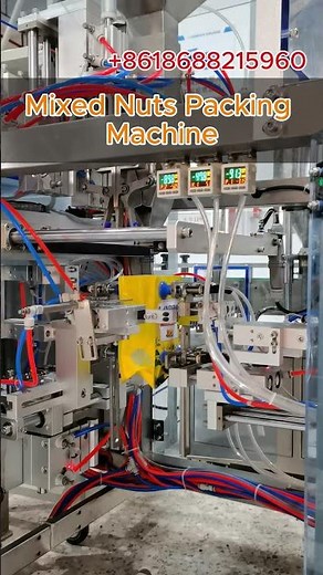 Mixed Nuts Packing Machine | Groundnut Packaging Machine | Automatic Nuts Packing Machine