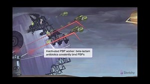 Nafcillin, Oxacillin, Methicillin & Dicloxacillin - Free Sketchy Medical Lesson