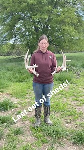 7.3K views · 78 reactions | April 25 and just found the last sets of sheds we had been waiting on! | Oak Creek Whitetail Ranch | Facebook