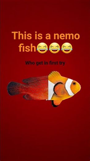 nemo tap to stop filter🤣🤣#super #cool #filter #and #difficult