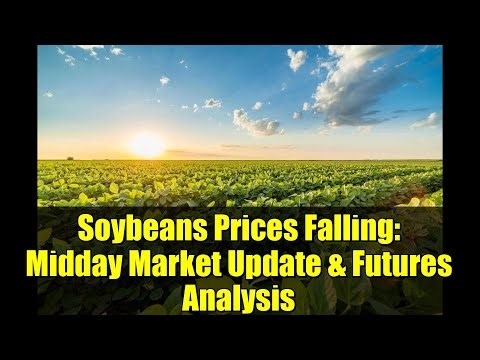 Soybeans Prices Falling: Midday Market Update & Futures Analysis