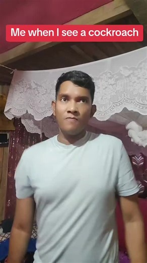 Do Cockroaches Really Fly? Insights and Reactions