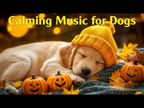 12 Hours of Calming Dog Music 🎶 Gentle Lullabies for Puppies to Relax & Sleep Peacefully