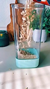 105K views · 1.6K reactions | ASMR Random Restocking 磻遼 #asmr #asmrsounds #asmrvideo #asmrtiktoks #asmrrestock #restock #restocking #restockasmr #restockwithme #organized #organizedkitchen #kitchen #random #randomrestock #fyp #fypシ #trending | ASMR Restocking | Facebook